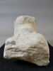 statue, image 3/5