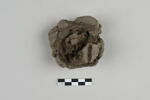 bouchon de jarre ; empreinte de sceau, image 3/4