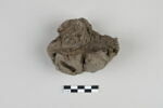 bouchon de jarre en calotte ; empreinte de sceau, image 3/5