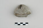 bouchon de jarre en calotte ; empreinte de sceau, image 1/5