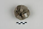 bouchon de jarre en calotte ; empreinte de sceau, image 1/6