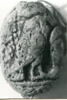 scaraboïde, image 1/2