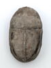 scarabée funéraire, image 1/4