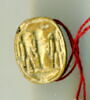 scarabée, image 1/2