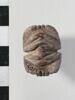 scarabée à ventre détaillé, image 2/4