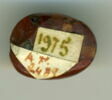scarabée, image 2/2