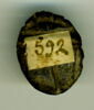 scarabée, image 1/2