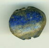 scarabée, image 1/2