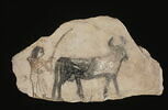 ostracon figuré, image 2/2