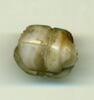 scarabée, image 1/2