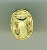 scarabée, image 1/2