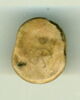 scarabée, image 2/2