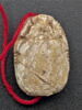 scarabée, image 2/2