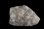 ostracon figuré, image 2/8