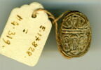 scarabée, image 1/2