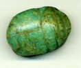 scarabée, image 1/2