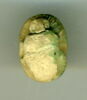 scarabée, image 3/3