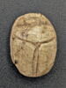 scarabée, image 2/2
