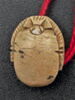 scarabée, image 2/2