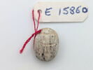 scarabée, image 2/2
