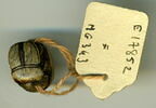 scarabée ajouré, image 2/2