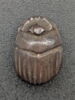 scarabée, image 2/2