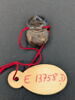 scarabée à ventre détaillé, image 2/2