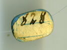 perle en pastille ovale ; scaraboïde, image 2/2