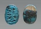 scarabée, image 1/3