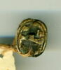 scarabée, image 1/2