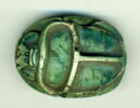 scarabée, image 1/2