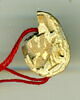 scarabée, image 1/2