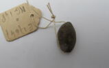 perle cauroïde, image 2/2