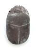 scarabée funéraire, image 1/6