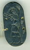 scarabée, image 3/3