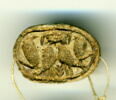 scarabée, image 1/2
