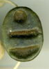 scarabée, image 1/2