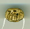 scarabée, image 1/2