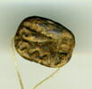 scarabée ajouré, image 1/2