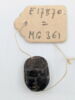 scarabée, image 2/2