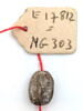 scarabée, image 2/2