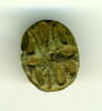 scarabée, image 1/2