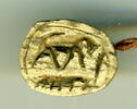 scarabée, image 1/2