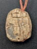 scarabée, image 2/2