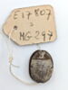 scarabée, image 2/2