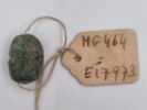 scarabée, image 2/2