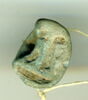 scarabée, image 1/2