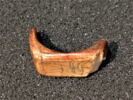 chevalière  ; chaton de bague, image 2/2