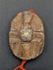 scarabée à pattes hypertrophiées, image 2/4