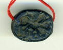 scarabée, image 1/2